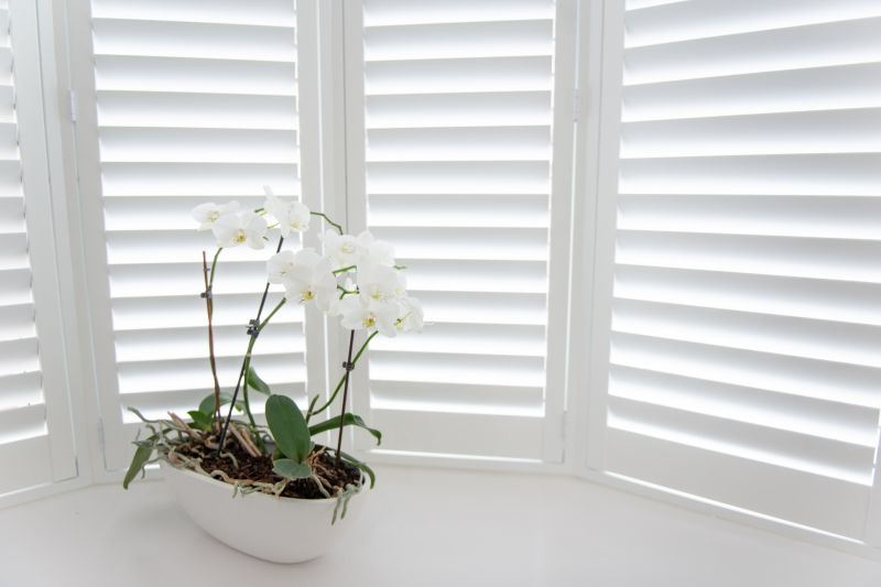 Exterior Shutters Installation in Alpharetta, GA